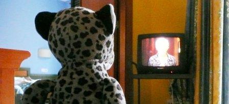 Rainy day on holiday