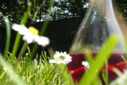 a flask of sangria on a summer lawn